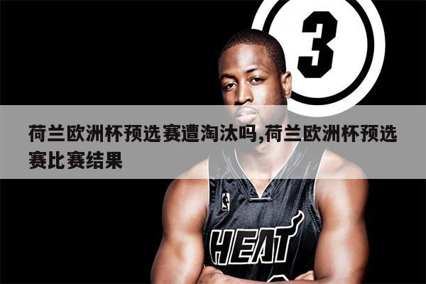 荷兰队惨遭淘汰，未能晋级欧洲杯()  第1张